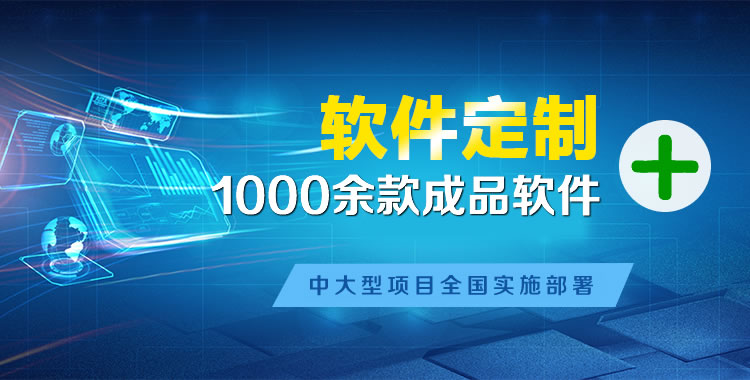 金明软件开发